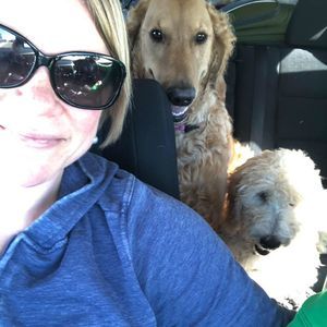 Meet your Posher, Jane